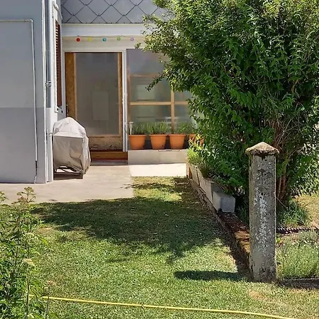 Lesmyosotis-messeix ***espace Et Calme 2/3p * Messeix