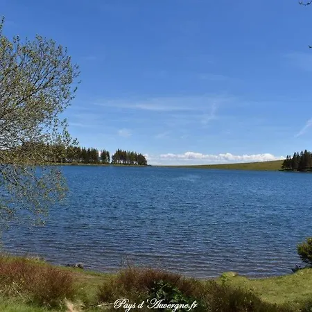 Holiday home Lesmyosotis-messeix ***espace Et Calme 2/3p *